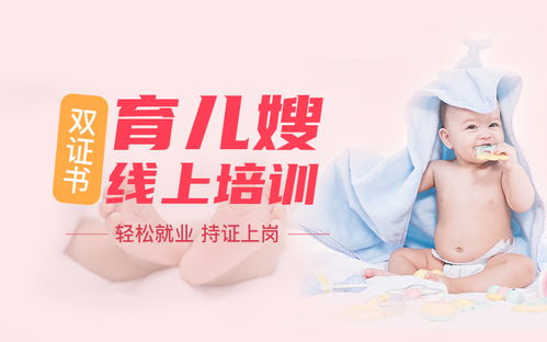 家政服務人員的分類及服務內容概述