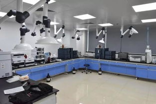 號(hào)外！玉環(huán)市食品藥品檢驗(yàn)檢測(cè)中心搬家啦，家政服務(wù)同步煥新