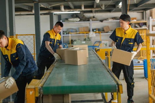 馬云預(yù)言 后疫情時(shí)代，家政服務(wù)或成新財(cái)富風(fēng)口